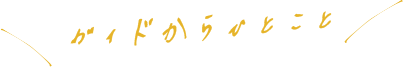 ガイドからひとこと